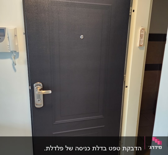 דלת כהה עם ידית מתכת ובריח